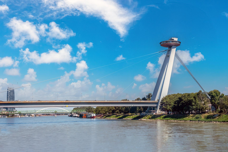 Tour privato con ingresso al ponte di osservazione degli UFO di Bratislava