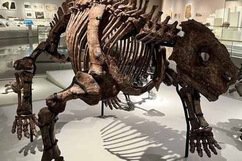 Shenzhen: Natural History Museum Landmark Priority Pass