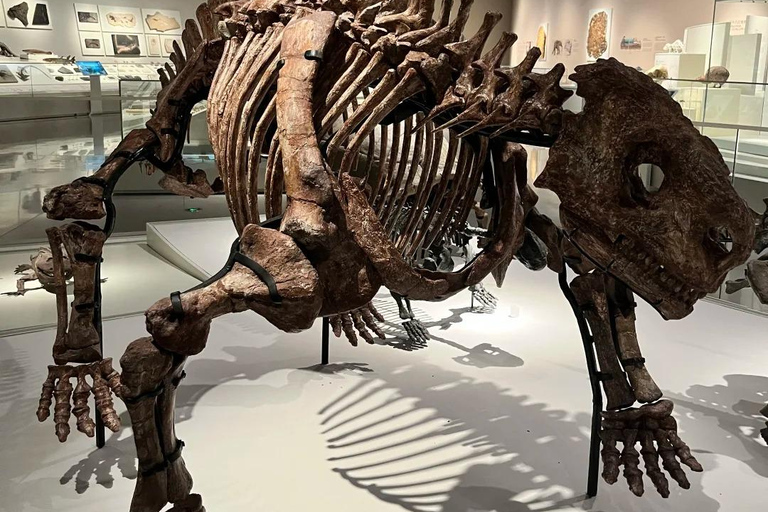 Shenzhen: Natural History Museum Landmark Priority Pass