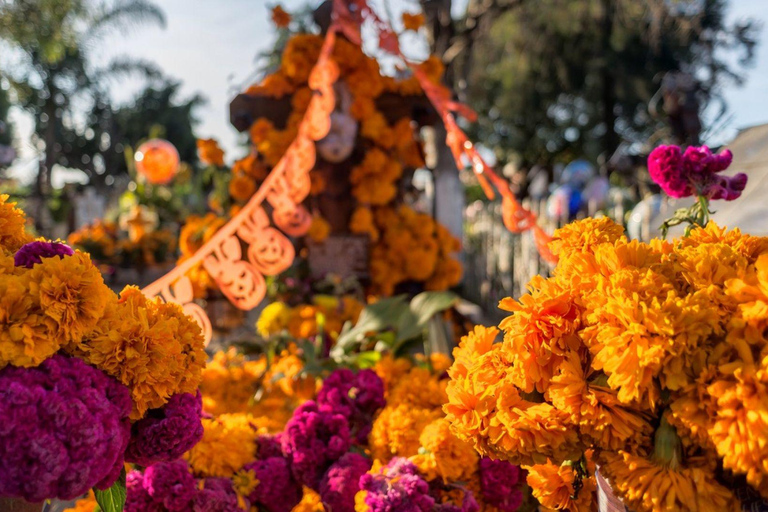 From Mexico City: San Andrés Mixquic Day of the Dead Tour