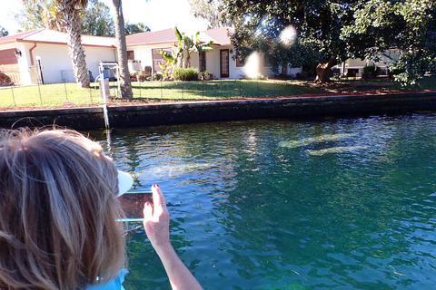 Crystal River: Manatee Viewing Cruise