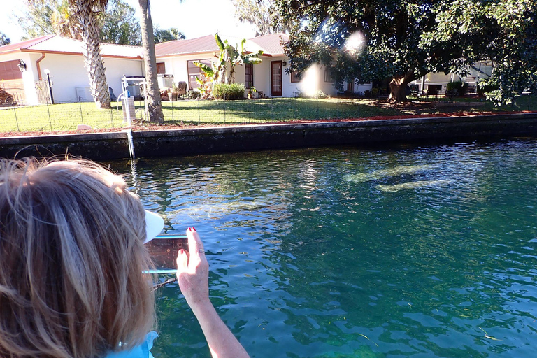 Crystal River: Manatee Viewing Cruise