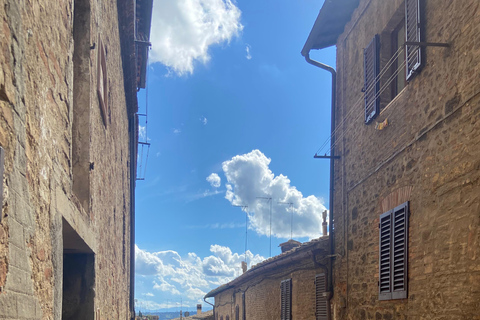 Découvrez les petites caves de brunello biologiques et biodynamiques