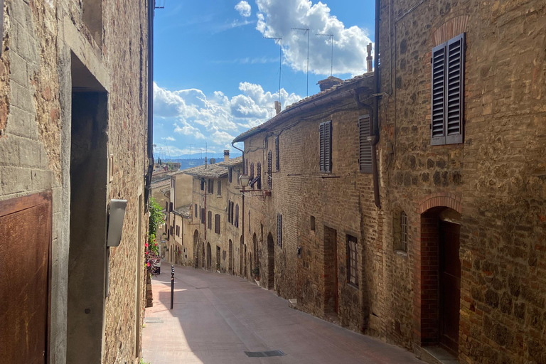 Découvrez les petites caves de brunello biologiques et biodynamiques