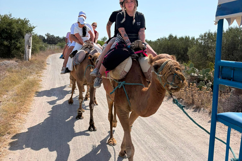 Hammamet: Dromedary and horse-drawn carriage ride with olive oil tasting Hammamet: Dromedary Ride and Carriage Ride with Olive Oil Food Tasting