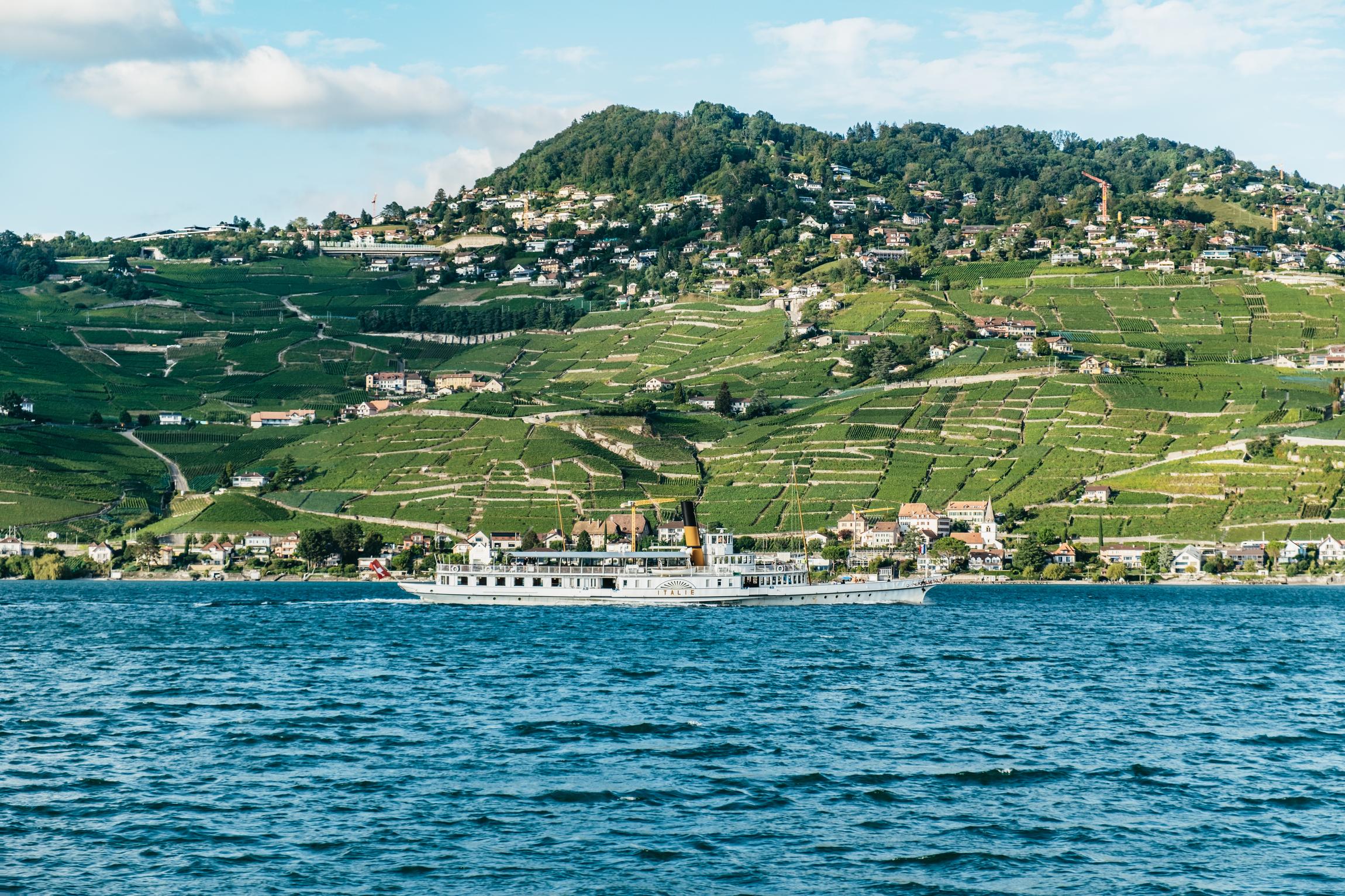 Lausanne: 3-stündige Fahrt durch die Riviera und das Lavaux-Gebiet