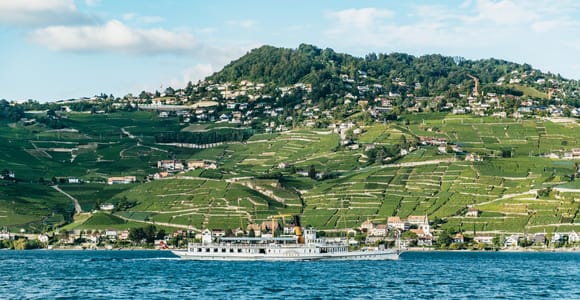 Lausanne: 3-stündige Fahrt durch die Riviera und das Lavaux-Gebiet