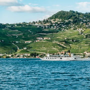 Lausanne: 3-Hour Riviera and Lavaux Region Cruise