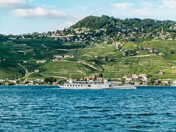 Lausanne: 3-Hour Riviera and Lavaux Region Cruise