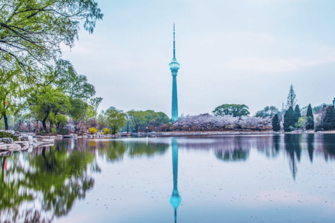 Pekín: Central Radio &amp; TV Tower Observation Deck Ticket