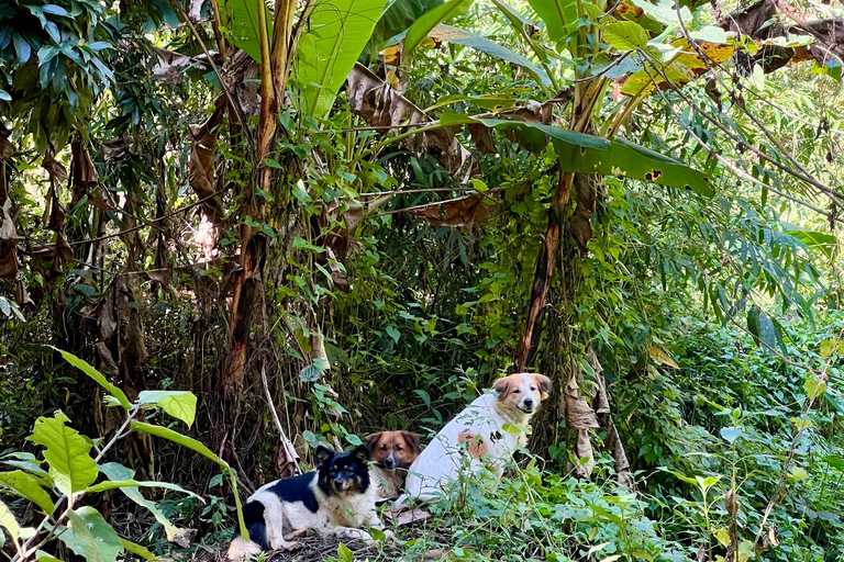 Chiang Mai 2-Day Adventure: Trekking, Tubing & Waterfalls 1-Night Jungle Stay - Trek, Tubing & Waterfall