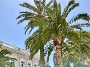 Syros: Foodtour