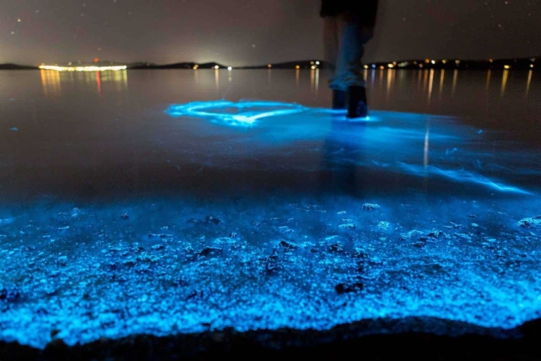 Auckland: Wycieczka kajakiem bioluminescencyjnym