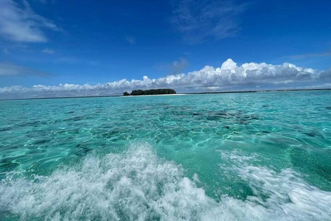 Von Kizimkazi Safari Blauer Schnorchel und Inselhopping Tour