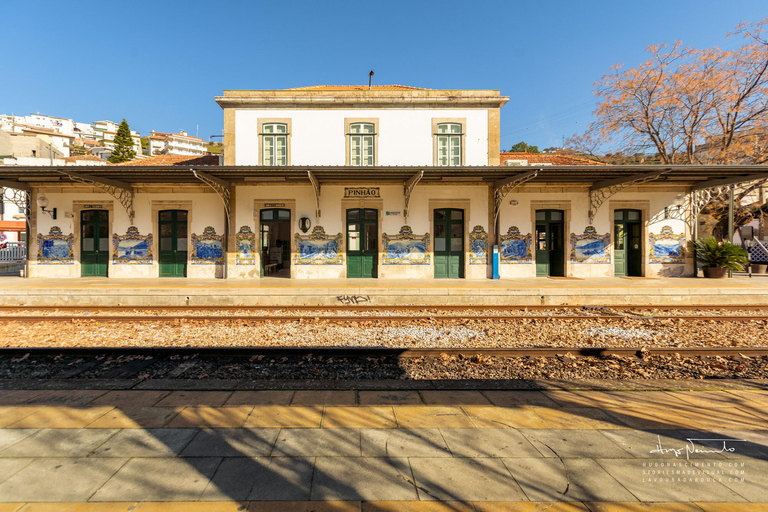 Douro Valley: Private Wine Tour with Lunch