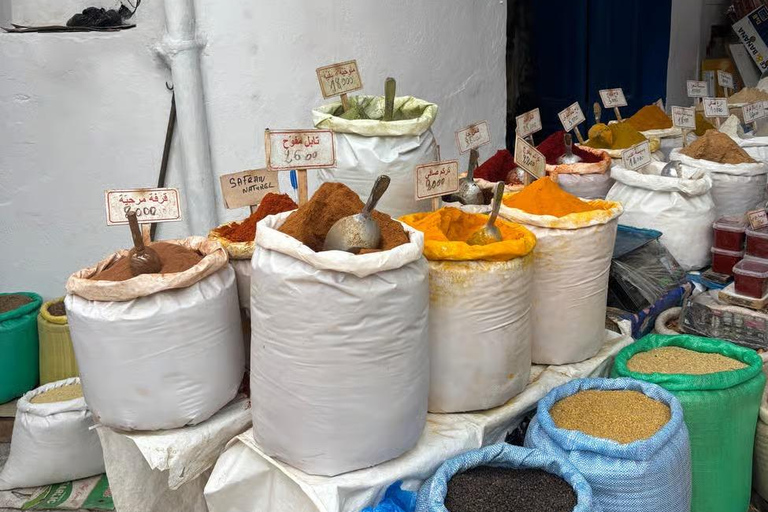 From Tunis: Sousse Guided Tour with Hotel Pickup Sousse half-day tour : from Monastir/Sousse : private group