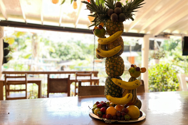 Medellin: Fruit Tour with tastings, nature and animals From Medellín: Fruit tour + Swimming Pools + 1 Bed