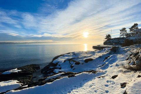 Oslo: Sightseeingcruise door de Oslofjord per elektrische boot