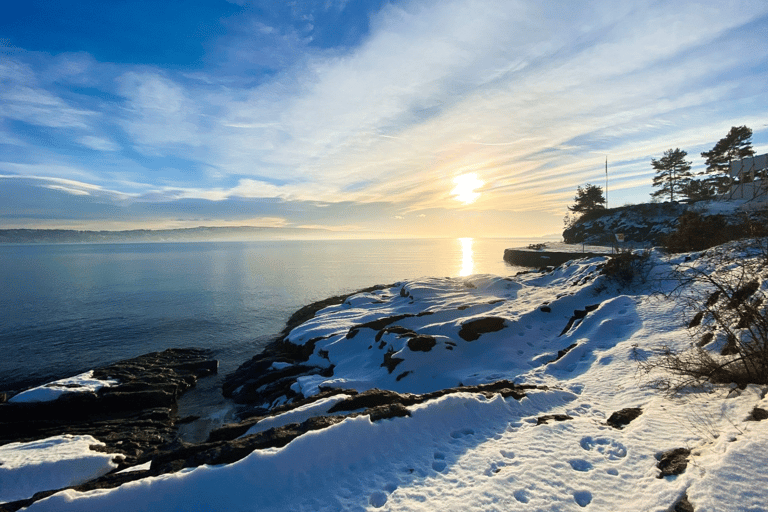 Oslo: Sightseeingcruise door de Oslofjord per elektrische boot