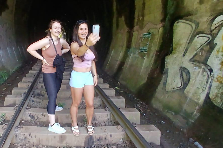 ELLA Lipton Seat Tea Test & Pluck 9Arch, Waterfalls, & Food Lipton's Seat, Little Adam Peak, 9 Arch, Ravana Waterfalls