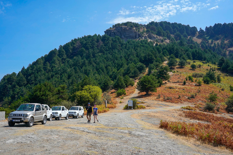 Thassos: Jeep Safari to Kastro, Ipsarion, and Maries