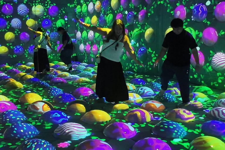 Manila: Ocean Park and Digital National Art Museum Pass