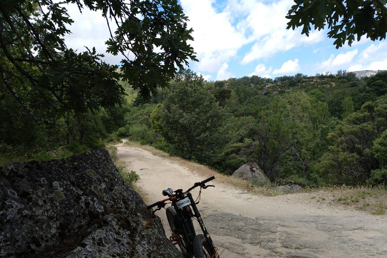 From Madrid: Small-Group Guided E-Bike Tour to El Escorial