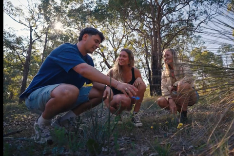 Perth: 2-Day Pinnacles, Sea Lions, and Seafood Tour