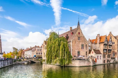 From Amsterdam to Bruges: Private day trip by car