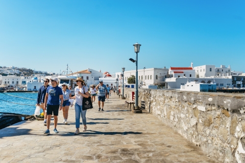 Vanuit Mykonos: rondleiding door Delos, met tickets met voorrangstoegangTour in het Engels