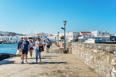 From Mykonos: Delos Guided Tour with Skip-the-Line Tickets Private Group Guided Tour in French