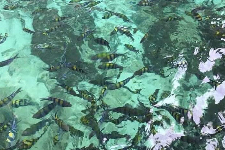 Langkawi: Aventura de mergulho com snorkel em Pulau DangliAventura de mergulho com snorkel em Pulau Dangli para 2 pessoas