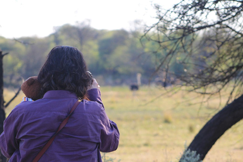 Gaborone: City Tour with Game Drive and Tswana Cuisine