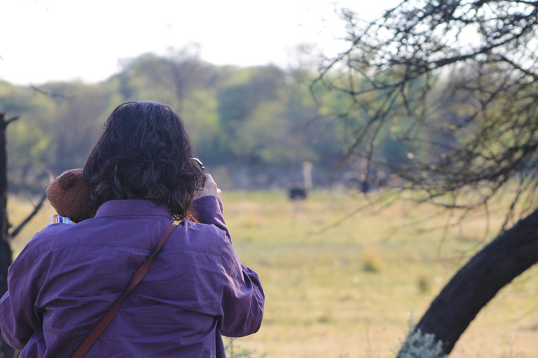 Gaborone: City Tour with Game Drive and Tswana Cuisine