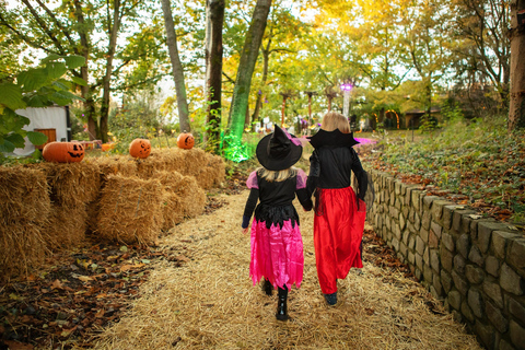 Soltau: Heide Park Resort Day Ticket Admission Ticket Regular Season