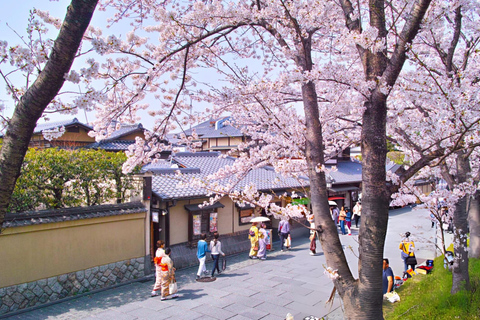 Best of Kyoto: Guided Full Day or Half-Day Tour with a Local Private: Guided Full Day Tour with a local