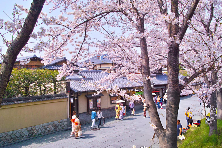 Best of Kyoto: Guided Full Day or Half-Day Tour with a Local Private: Guided Full Day Tour with a local