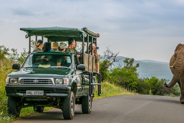 From St Lucia: Hluhluwe-Imfolozi Big 5 Park Exclusive Safari