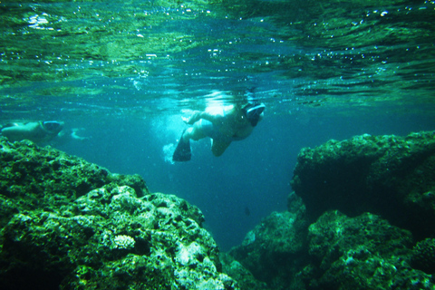 Kauai: Schnorchel-Tour an der Na Pali-Küste mit MittagessenÖffentliches Schnorcheln an der Na Pali-Küste mit Mittagessen