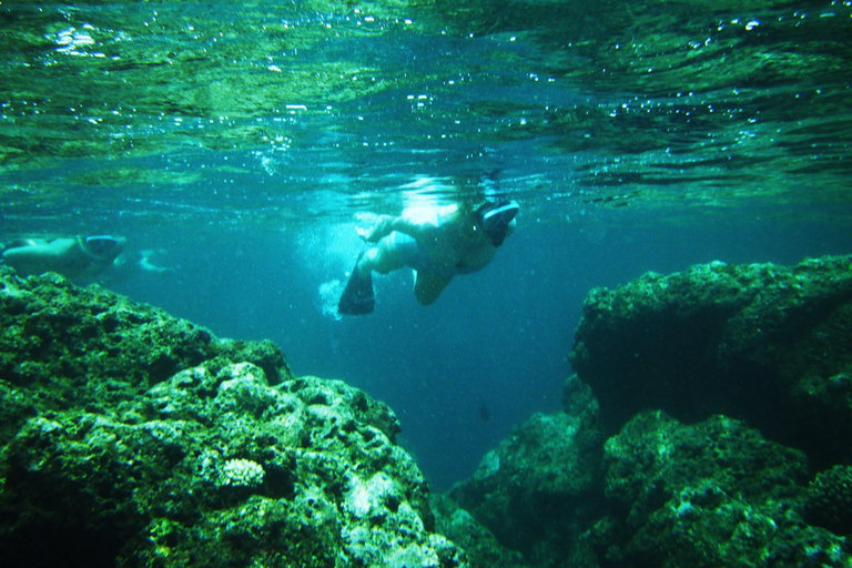 Kauai: Schnorchel-Tour an der Na Pali-Küste mit MittagessenÖffentliches Schnorcheln an der Na Pali-Küste mit Mittagessen