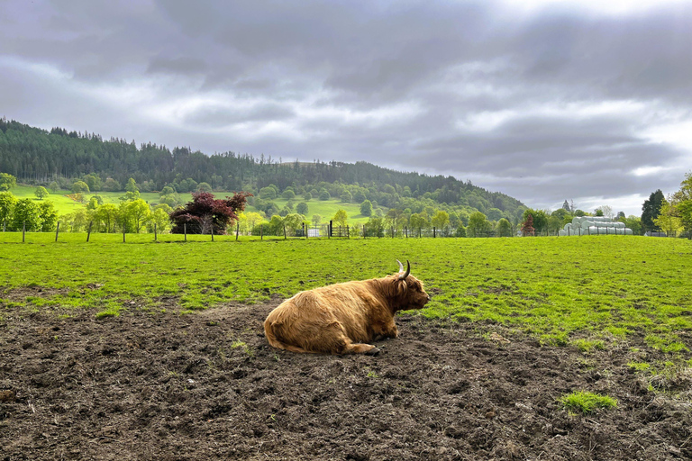 Da Edimburgo: Escursione di un giorno a Loch Ness, Glencoe e le Highlands