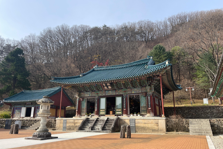Seoul: Seorak Mountain, Oost DMZ en Sokcho TourSeorak Mt, Oost DMZ, Sockcho Stad Privétour
