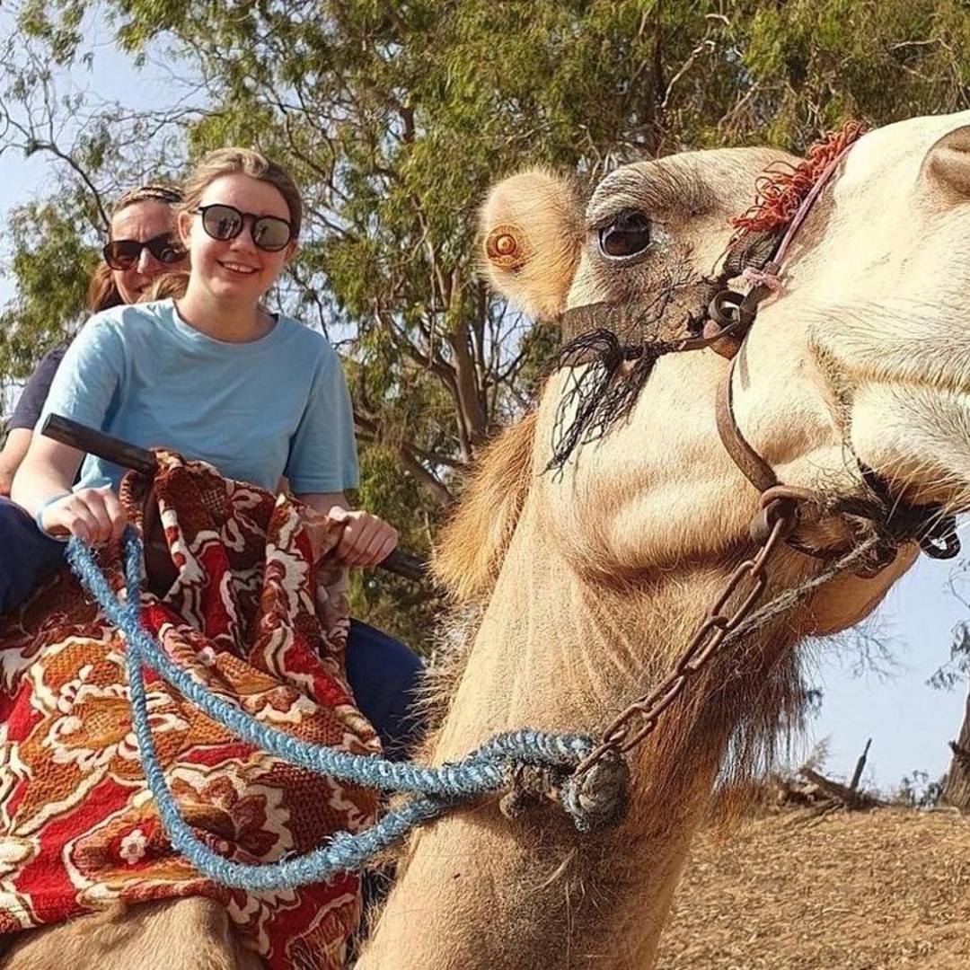Agadir : balade à dos de chameau, rivière des flamants roses, gâteaux et thé marocains