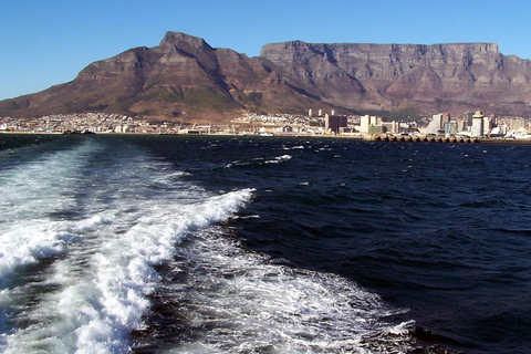 Città del Capo: Tour privato di un giorno di Robben Island e Table Mountain