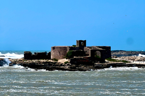 From Marrakech: Essaouira Day Trip with Beach & Medina Essaouira Small Group Day Trip