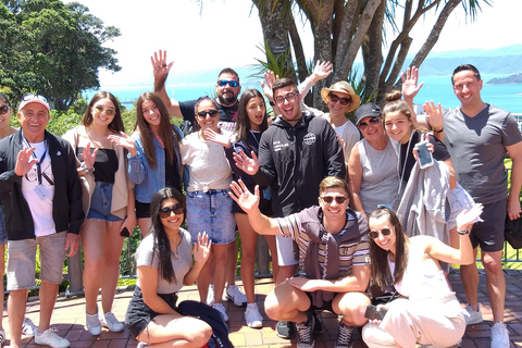 Wellington: City Highlights Guided Tour with Cable Car Ride