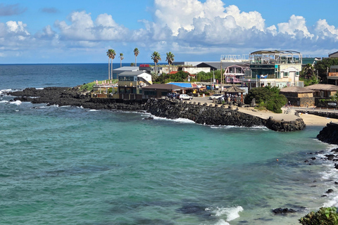 Excursión al atardecer por la isla de JejuExcursión al atardecer en la isla de Jeju