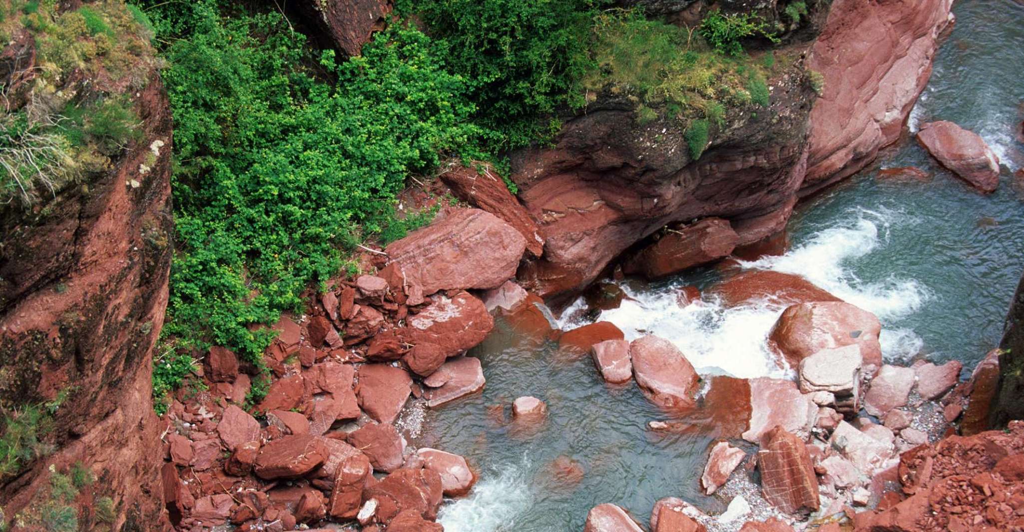 Fabuloso Cañón Rojo y Entrevaux, Excursión privada de un día completo - Hizvo