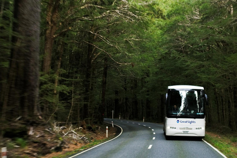 Franz Josef to Queenstown Day Tour