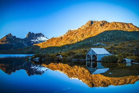 Hobart: Cradle Mountain Day Trip with Scenic Stops